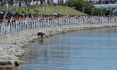 韓国・釜山でサメ撮影中にスマホ落下、男性が水路に入って回収…5分足らずでサメ出現