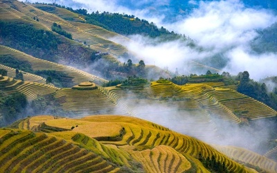 【写真特集】人間と自然の共作、年月を重ねる棚田