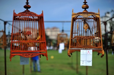 一番の美声の持ち主は？鳥72羽がさえずり競う、マレーシア