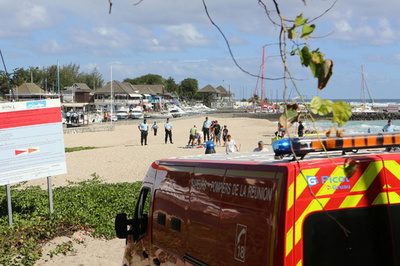 新婚旅行中の男性がサメに襲われ死亡、仏領レユニオン島