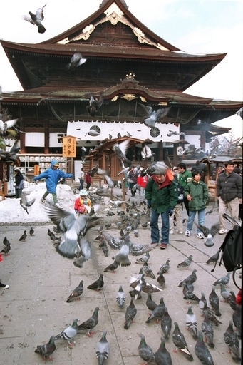 聖火リレー辞退の善光寺、白スプレーで6か所落書き