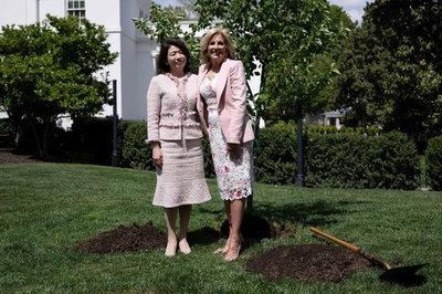 岸田裕子首相夫人がホワイトハウス訪問 桜を植樹