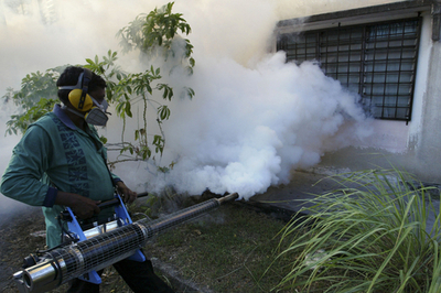 デング熱ウイルスを媒介する蚊が、アルプスを越えて北上