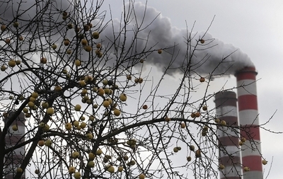 大気汚染はかえって植物の温暖化防止力を高める、英研究