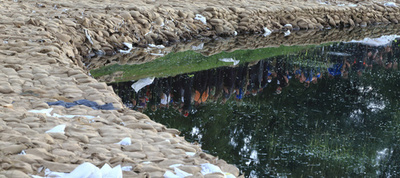 【写真特集】欧州の洪水、土のうで堤防を補強
