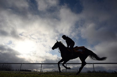 日本人騎手が落馬事故で重体 ニュージーランド競馬