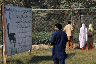 戦災と洪水の犠牲となる野生動物たち、パキスタン