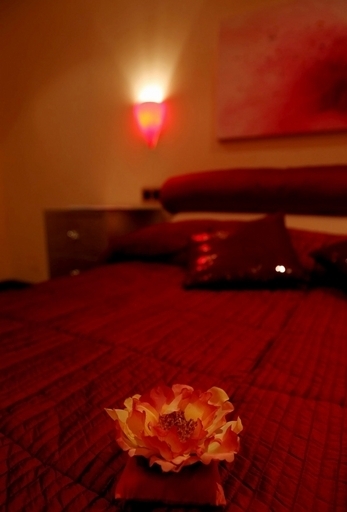 ホテルのベッド下から不明女性の遺体、失踪後に5人宿泊