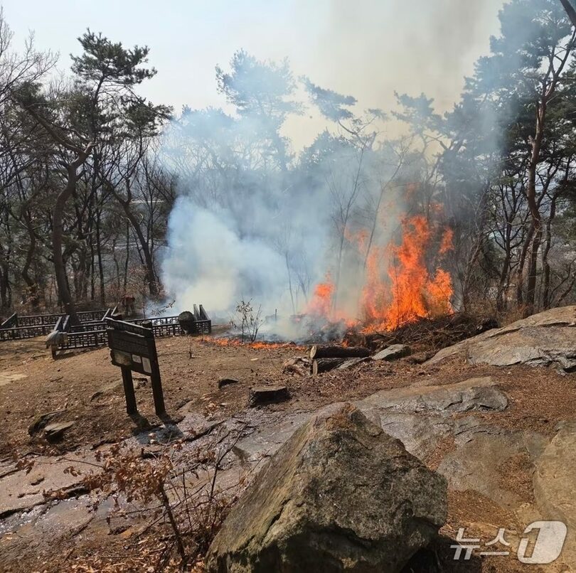 京畿道消防災難本部提供(c)news1