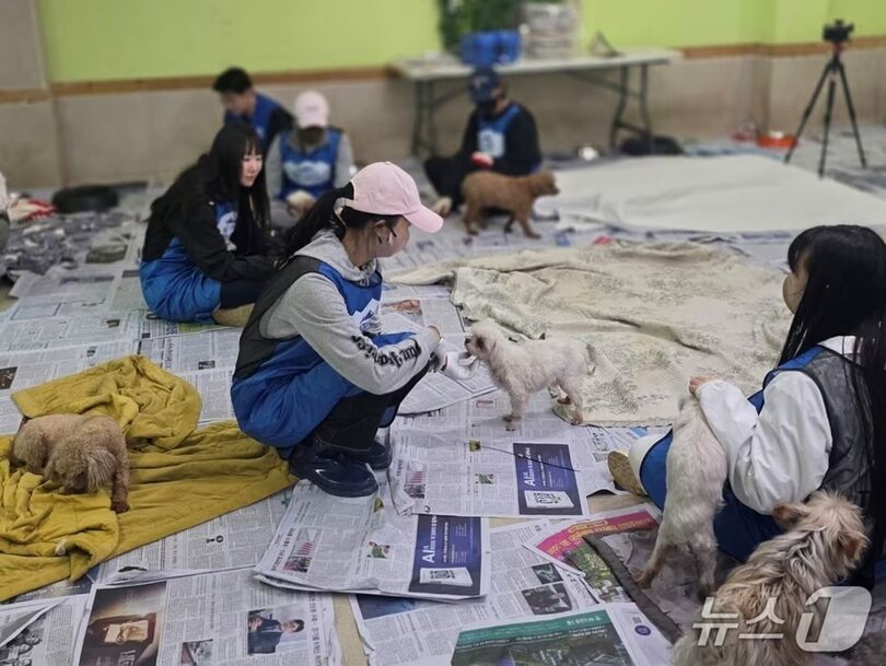 ナチュラルバランス(c)news1