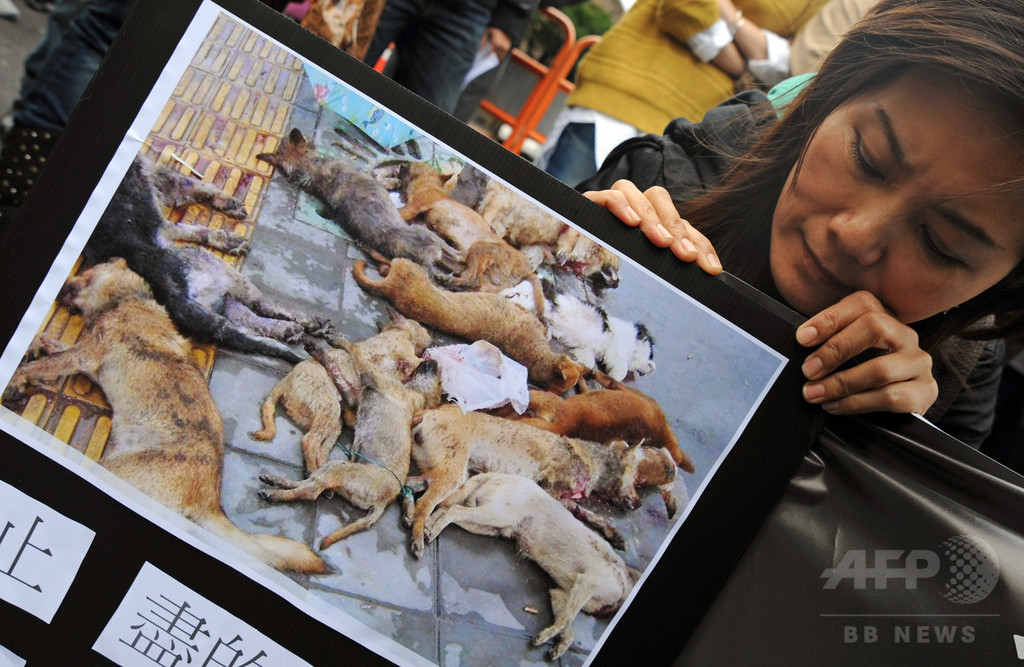 台湾、保護施設の動物たちの殺処分を法律で禁止 台湾、保護施設の動物たちの殺処分を法律で禁止