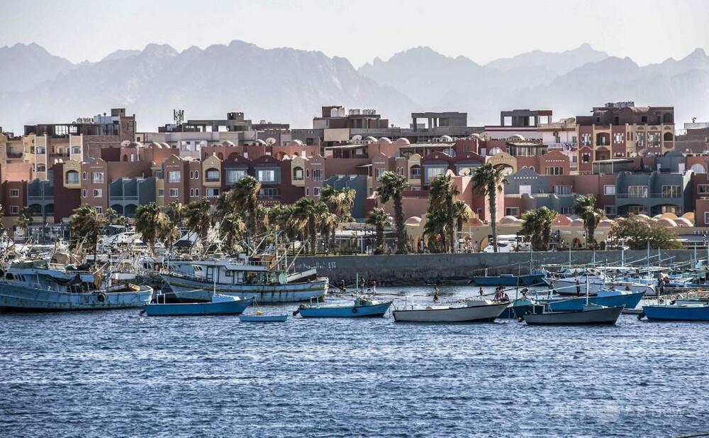 ドイツ人観光客、エジプトでショー観覧中に蛇にかまれ死亡