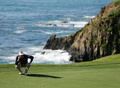 男子ゴルフ、AT&amp;Tペブルビーチ・ナショナルプロアマ（AT&amp;T Pebble Beach National Pro-Am 2013）3日目。8番ホールのグリーン上でパットのラインを読むブラント・スネデカー（Brandt Snedeker、2013年2月9日撮影）。(c)AFP/Getty Images/Ezra Shaw