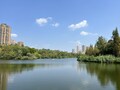 四川省自貢市で有名なバードウォッチングの名所、南湖生態公園（2024年9月5日撮影）。(c)Xinhua News