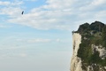 イギリス海峡を「フライボード」で横断し、英ドーバーのセントマーガレット湾に到着したフランキー・ザパタ氏（2019年8月4日撮影）。(c)Glyn KIRK / AFP