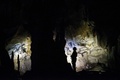 南仏アルデシュ（Ardeche）県のショーベ洞窟（Chauvet Cave）内に描かれた壁画（2014年6月13日撮影）。(c)AFP/JEFF PACHOUD