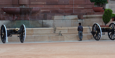 「サルにはサルを」、大統領府も守るハヌマンラングール インド