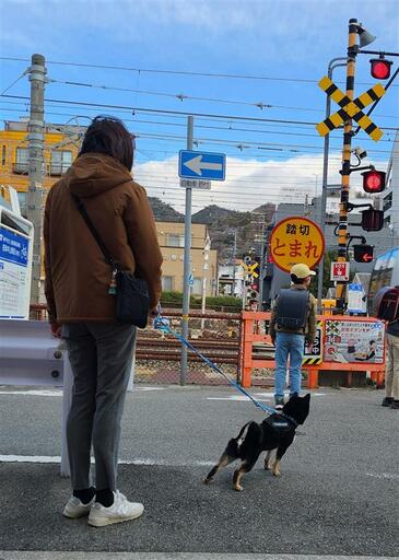 犬の散歩が地域の見守り・防犯に　神戸発の官民連携プロジェクト「わんわん見守り隊」7月24日（金）より、活動エリアを兵庫県全域に拡大