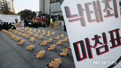 韓国の中絶制度、立法の空白続く…保険・薬の承認も未整備