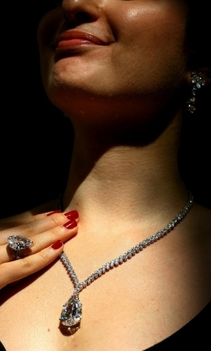 盗まれたダイヤモンド、容疑者の胃から発見