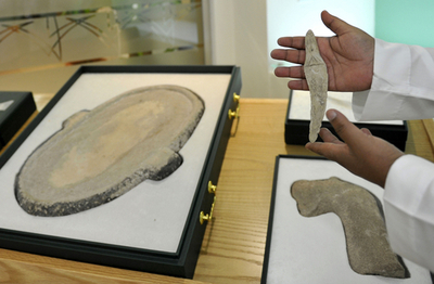 ウマの家畜化9000年前か、サウジアラビアで遺跡発見