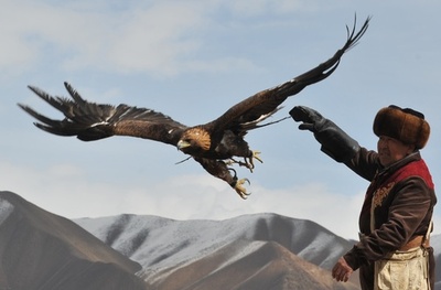キルギスで狩猟の祭典、鷹匠ら妙技披露