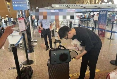 雲南祥鵬航空が客室へのペット持ち込みサービスを開始