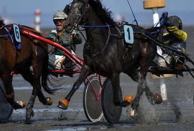 干潟の上を駆け抜けろ！ ドイツで伝統の競馬大会