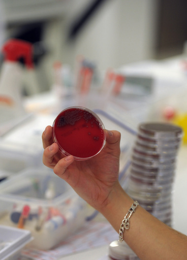 薬剤耐性菌感染、2015年欧州で3万3000人死亡 研究