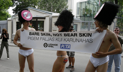 英近衛兵伝統のクマの毛皮帽子、エストニアでPETAが抗議