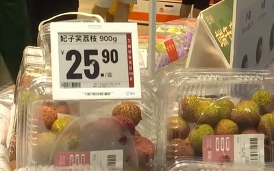 香港の消費者が中国本土でライチを爆買い 「妃子笑」が大人気