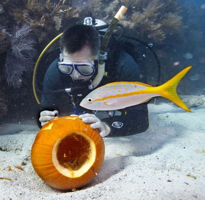 お魚もびっくり、水中パンプキン彫刻コンテスト フロリダ