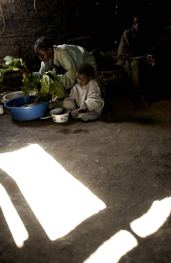 軍の攻撃で、民兵32人を含む37人死亡 - コンゴ民主共和国