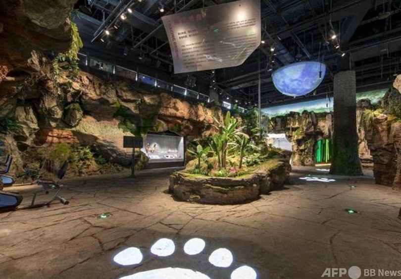 中国初のパンダをテーマにしたインタラクティブ体験博物館、開館