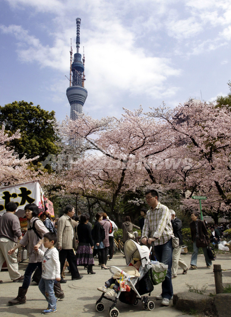 東京スカイツリー 634メートルの初花見 写真3枚 国際ニュース Afpbb News