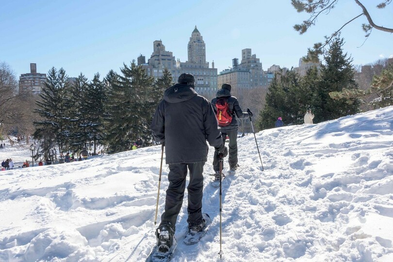 米東部の歴史的暴風雪、死者25人に 首都ワシントンで影響続く