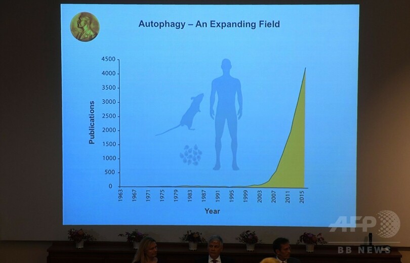 細胞の廃棄物処理機構「オートファジー」、健康増進のカギ握る可能性