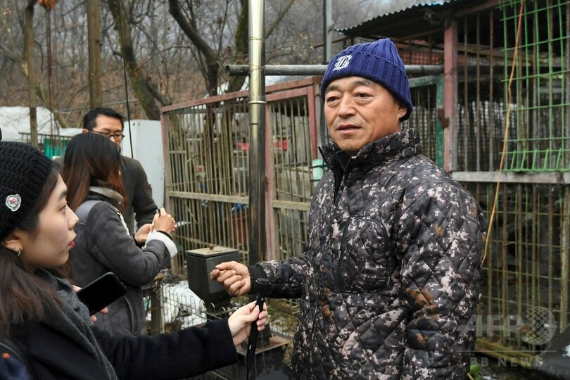 韓国の犬食文化に変化、欧米の里親に出す養犬業者も