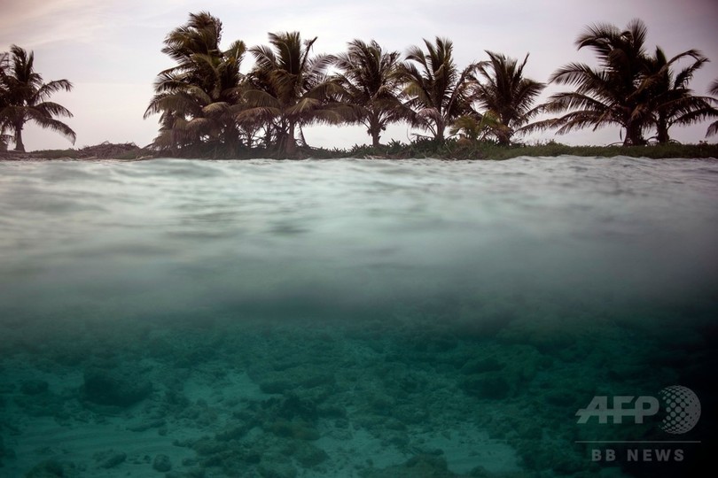 中米ベリーズのサンゴ礁保護区 ユネスコの危機遺産解除 写真17枚 国際ニュース Afpbb News