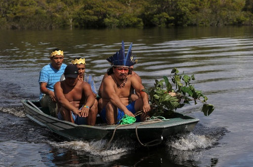 ブラジル・アマゾン先住民族、伝統の薬用植物でコロナと闘う