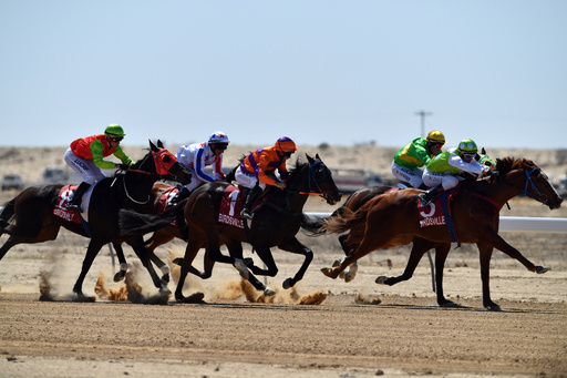 引退馬の「産業規模」食肉処理問題、豪当局が正式調査へ