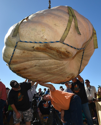 893キロの巨大カボチャ、世界選手権で優勝 米カリフォルニア 写真19枚
