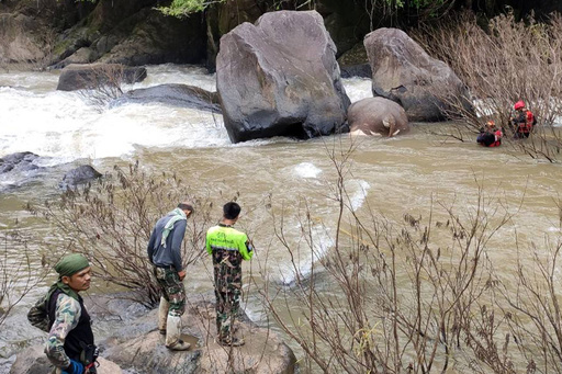 ゾウ11頭が滝で転落死 再発防止の対策強化 タイ国立公園 写真6枚 国際ニュース Afpbb News