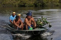 ブラジル北西部アマゾナス州マナウスの西にあるサテレマウェの居住地で、薬用植物の収集を終えた人々（2020年5月17日撮影）。(c)Ricardo OLIVEIRA / AFP