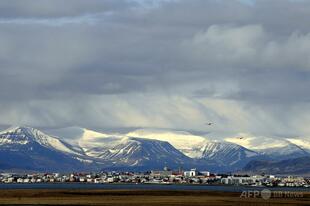 アイスランドで初めて蚊を確認 研究者は温暖化との関係疑問視