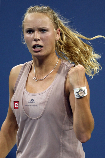 ボズニアツキ オーディンを退け準決勝へ、全米オープンテニス