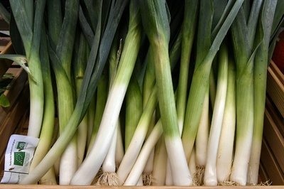 ウェールズ守護聖人の日なのに…お祝いに不可欠な「国花」のネギが不足