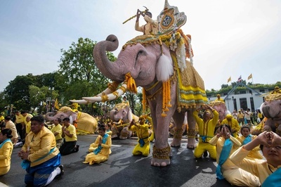 タイ・バンコクを象たちが行進、国王に敬意表す