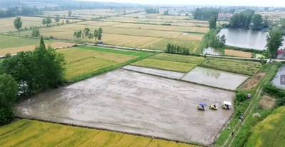 豊作を支える「スマート田植え」 中国湖北省襄陽市