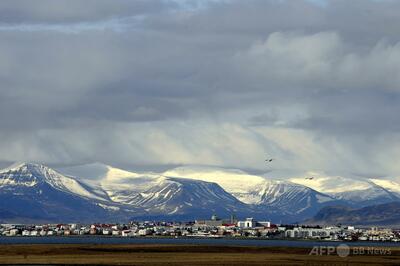 アイスランドで初めて蚊を確認 研究者は温暖化との関係疑問視